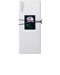 Manasi 7 For Fwrd Limited Edition Sophisticated Radiance Box 10 Manasi 7 For Fwrd Limited Edition Sophisticated Radiance Box -cosmetic shop MSIX UU26 V5