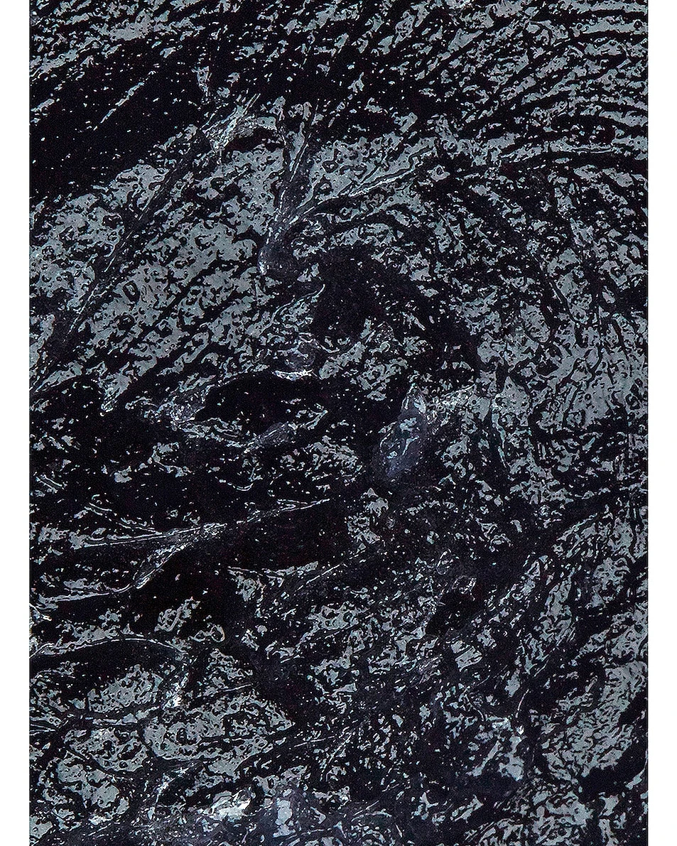 Nannette De Gaspé Baume Noir Lips 4 Nannette De Gaspé Baume Noir Lips - Image 2